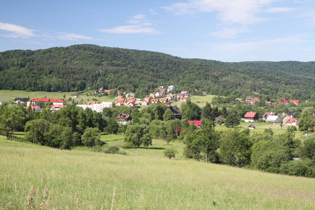 Uzdrowisko Wysowa-Zdrój Widok z Biawany